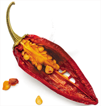 2Cayenas_F2