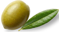 oliva_2
